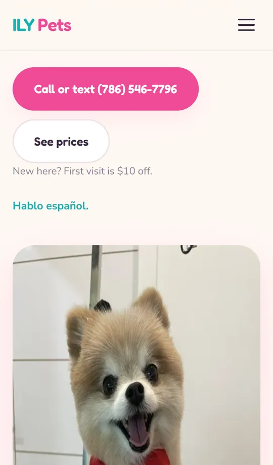 The ILY Pets home page, with a call or text button and a Pomeranian in a red bow tie on the grooming table
