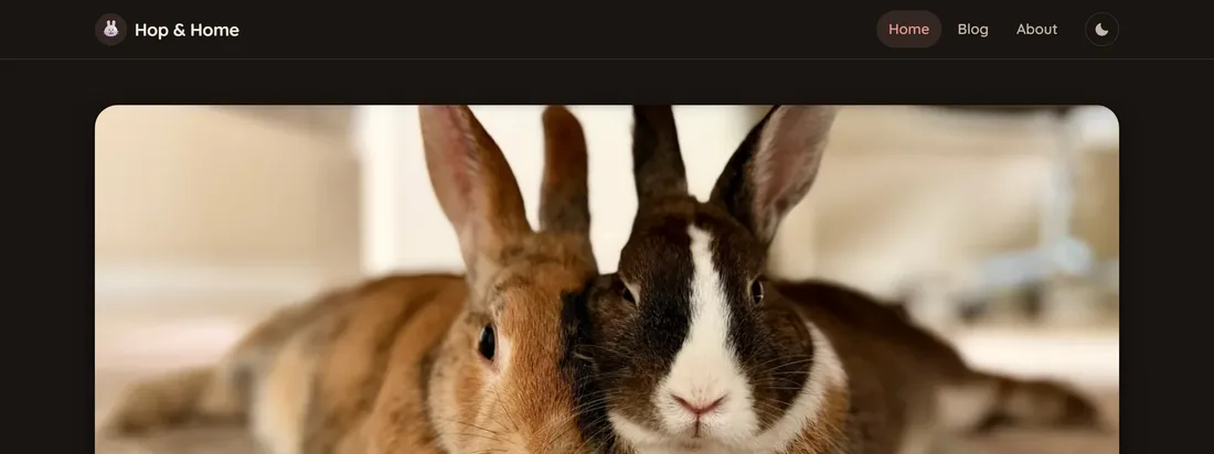 The Hop and Home website, showing its rabbit care guides
